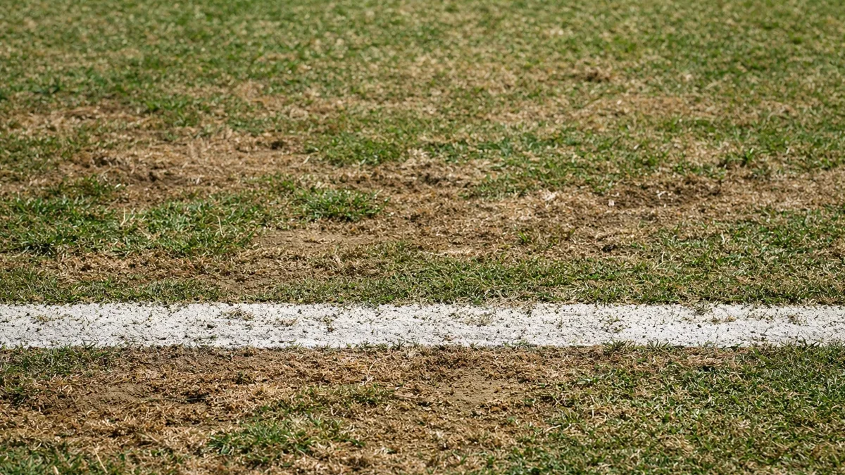 Nahaufnahme von abgespieltem Rasen mit braunen Stellen an der Grundlinie