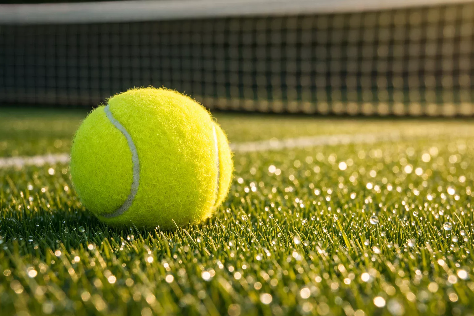Tennisball auf Rasenplatz mit Wimbledon-Netz im Hintergrund